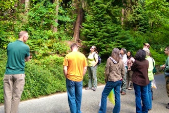 Olmsted Parks Walking Tour: Washington Park Arboretum